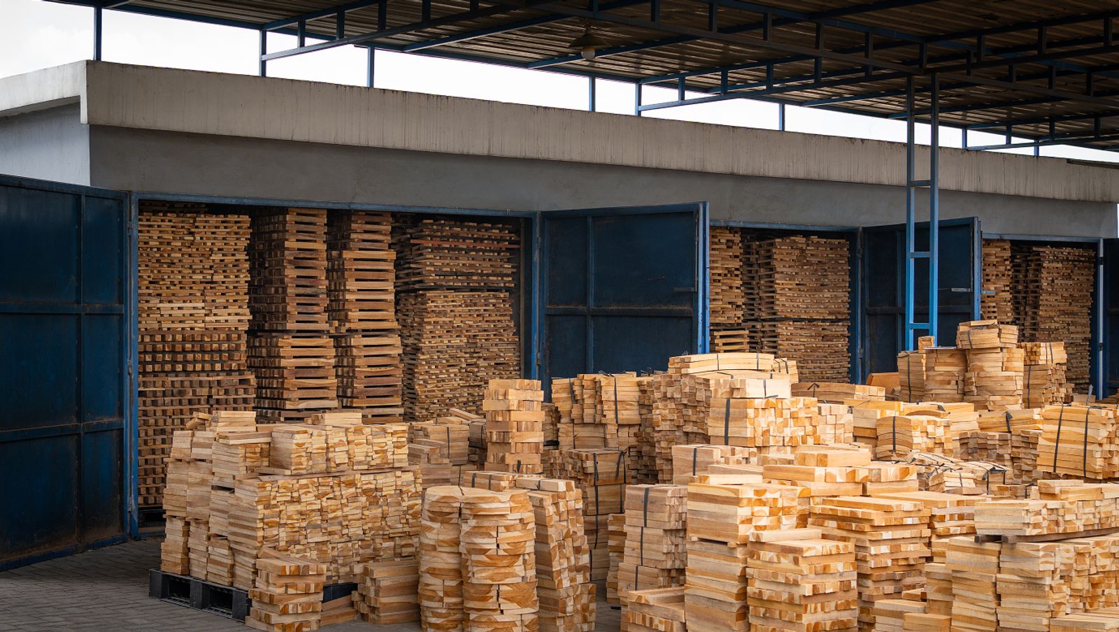 Gallery Image Section