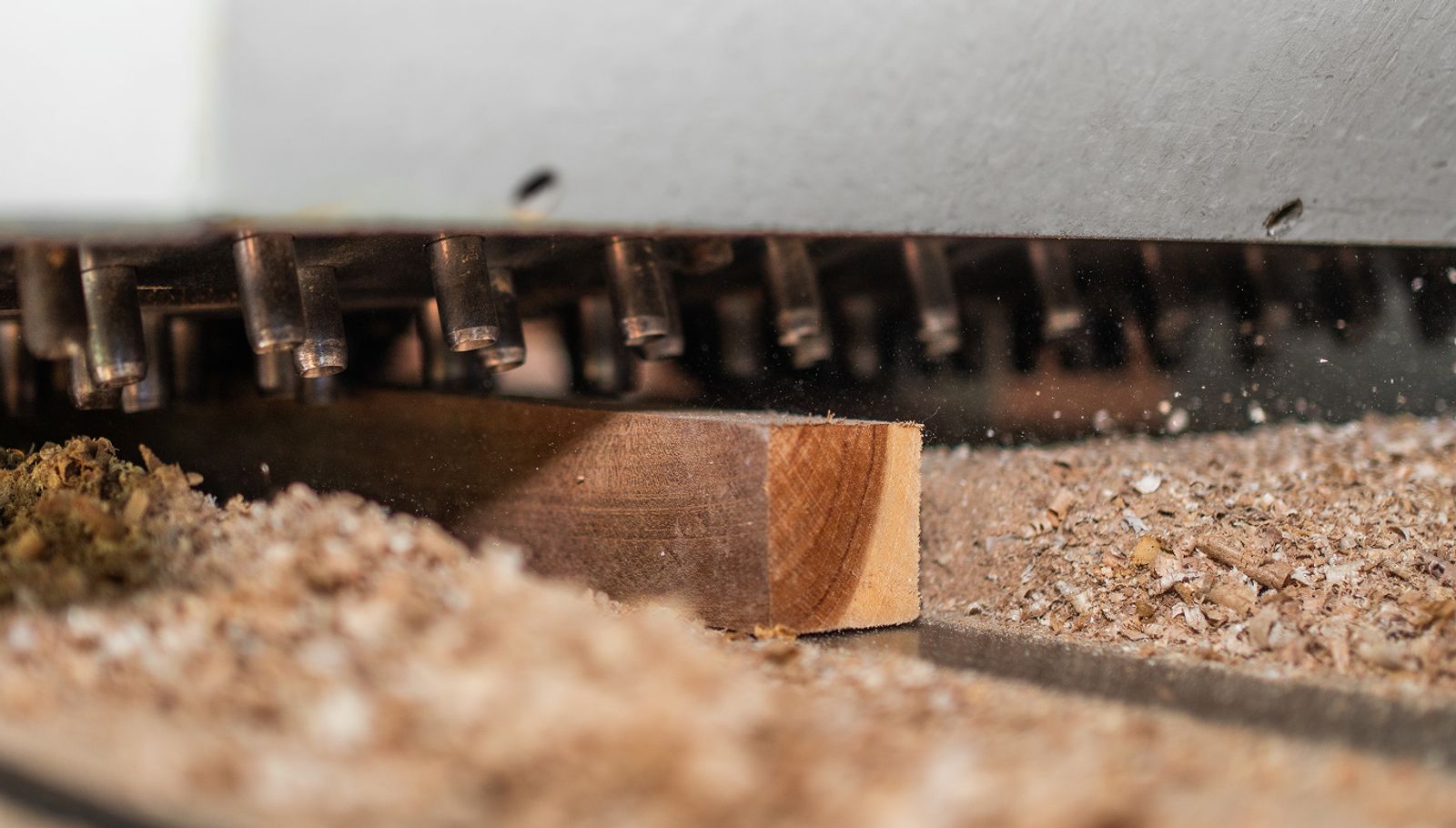 Gallery Image Section