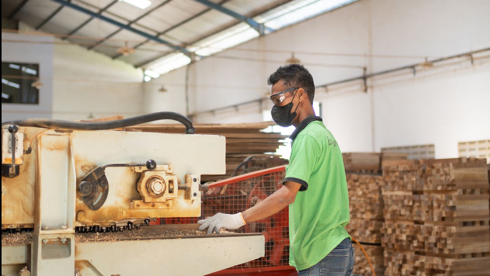 Gallery Image Section